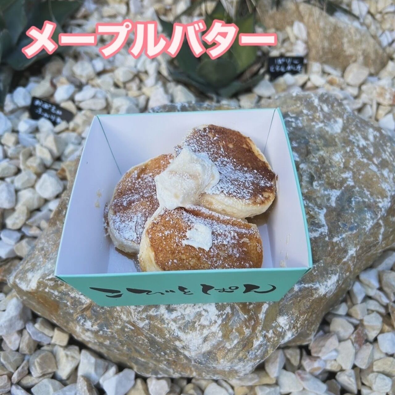 Turtles kitchenの画像2